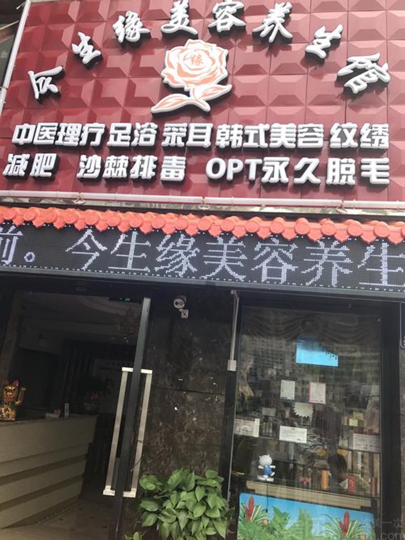 龙华区养生风潮：体验自然与健康的完美融合